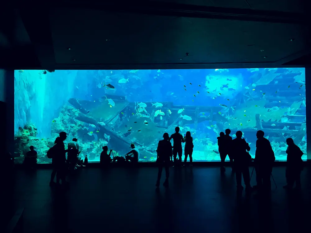 WALL PROJECTION manufactured by Modern XD